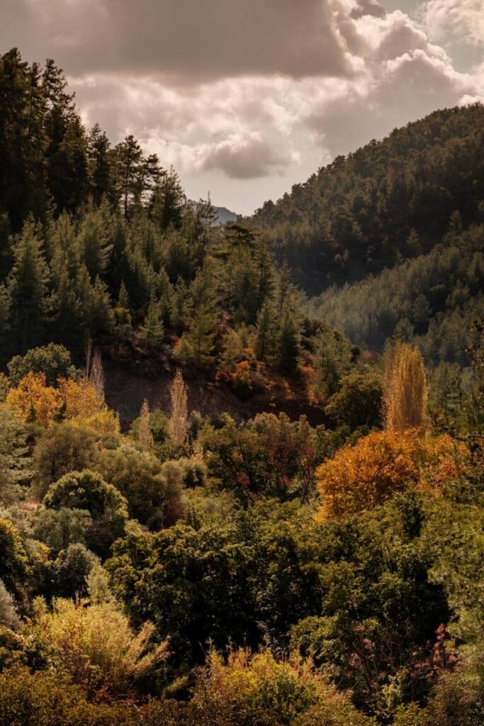 Autumn in Cyprus travelinmypocket