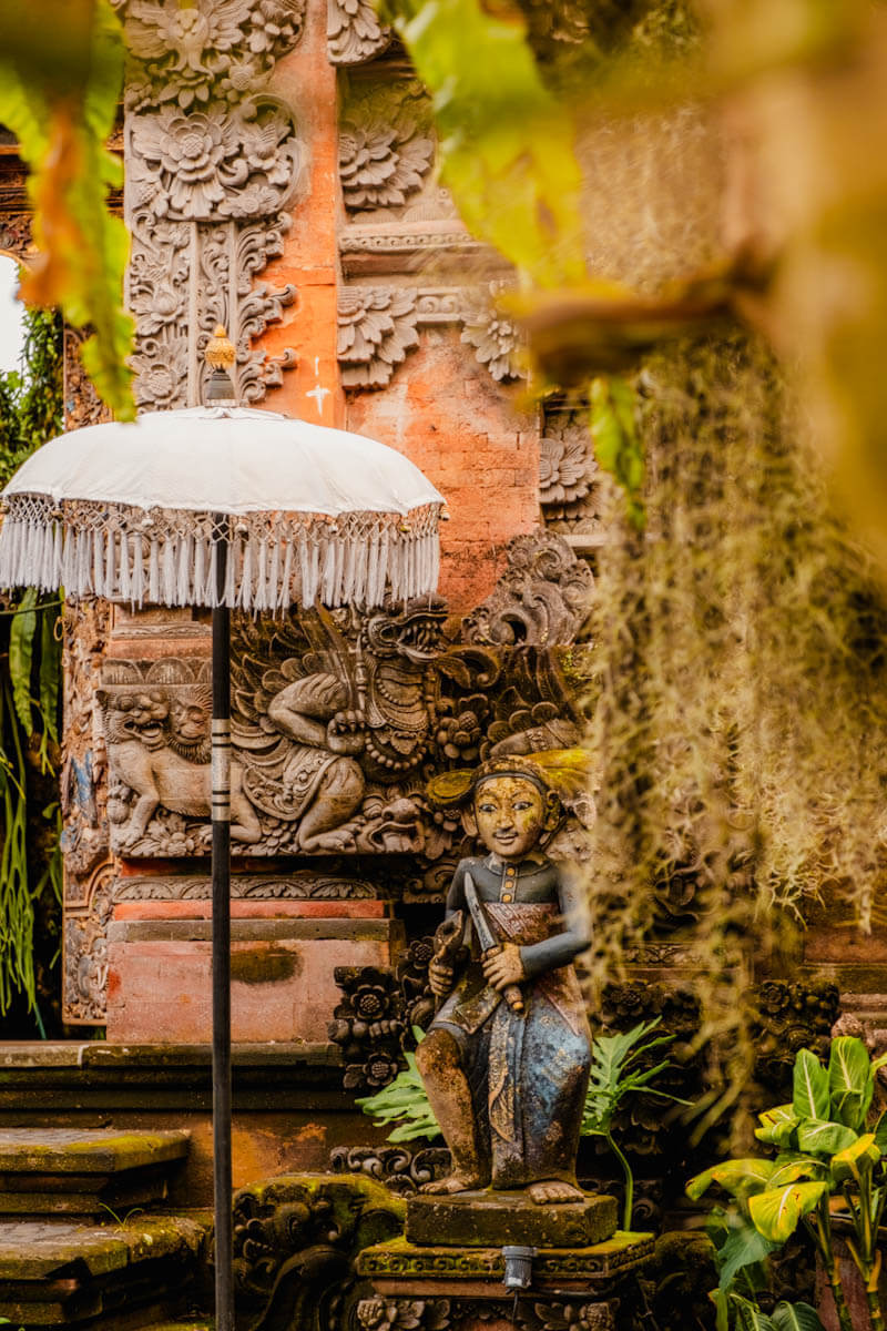 Photo inspiration: Visual Reference: Sweet Orange Walk Trail In Ubud S Rice Fields