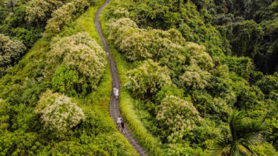 Campuhan Ridge Walk Ubud Bali travelinmypocket