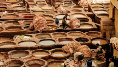 Chouara Tannery in Fez Morocco most famous leather tannery travelinmypocket