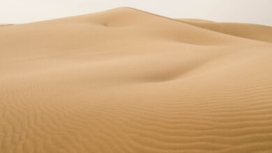 Dunes of Maspalomas Gran Canaria travelinmypocket
