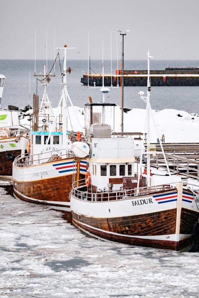 Haven Husavik Arctic Coast Way North Iceland travelinmypocket