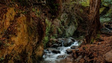 Kakopetria Vateri Trail Cyprus travelinmypocket