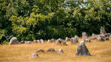 Lindholm Hoje Viking burial site Denmark travelinmypocket