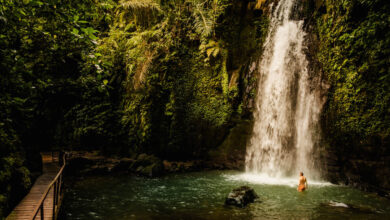 Ulu Petanu waterfall Bali travelinmypocket