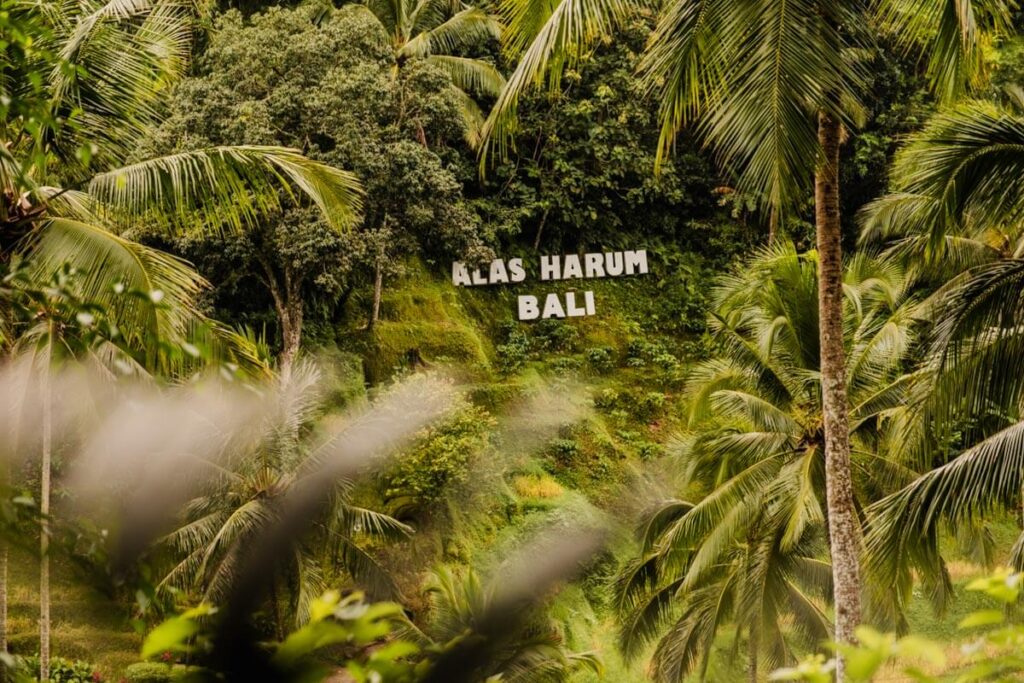Alas Harum Bali Tegalalang travelinmypocket