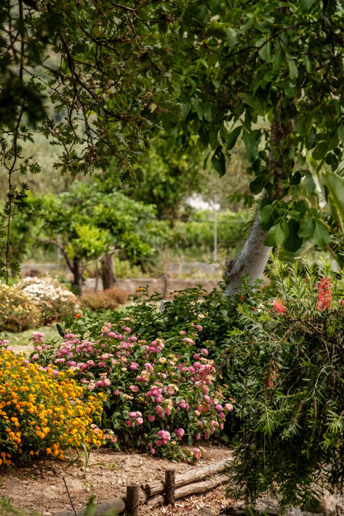 Botanical garden Alcantara Gorge Sicily travelinmypocket