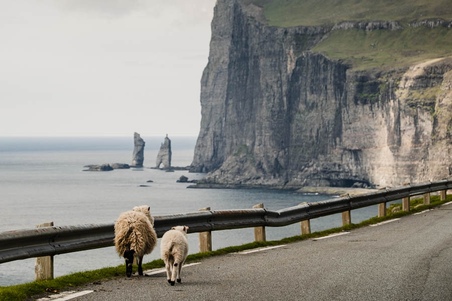 driving a car in the Faroe Islands - travelinmypocket