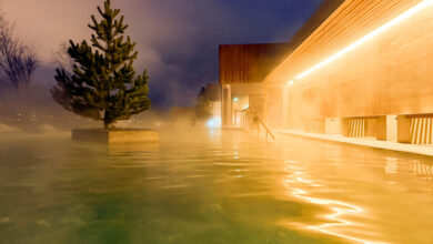 Iceland Forest Lagoon Akureyri travelinmypocket