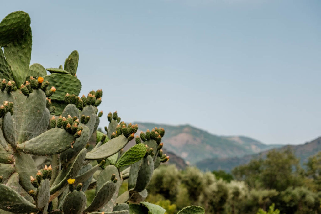 Nature Gole Alcantara Sicily travelinmypocket