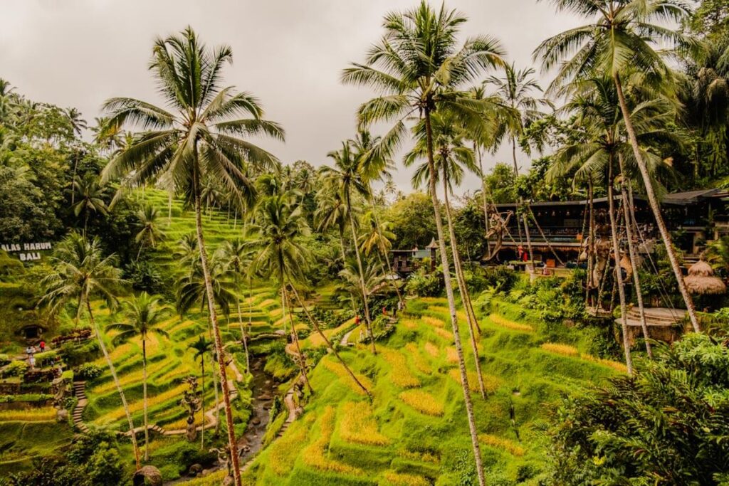 Tegalalang Alas Harum Bali travelinmypocket