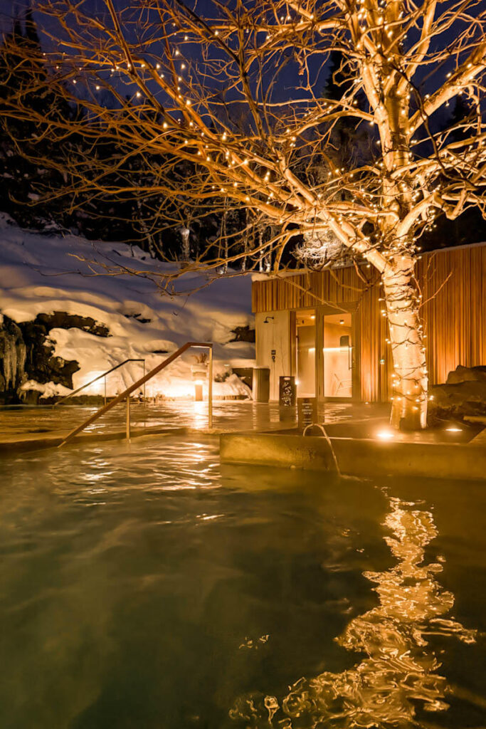 Tickets Forest Lagoon Akureyri north Iceland travelinmypocket