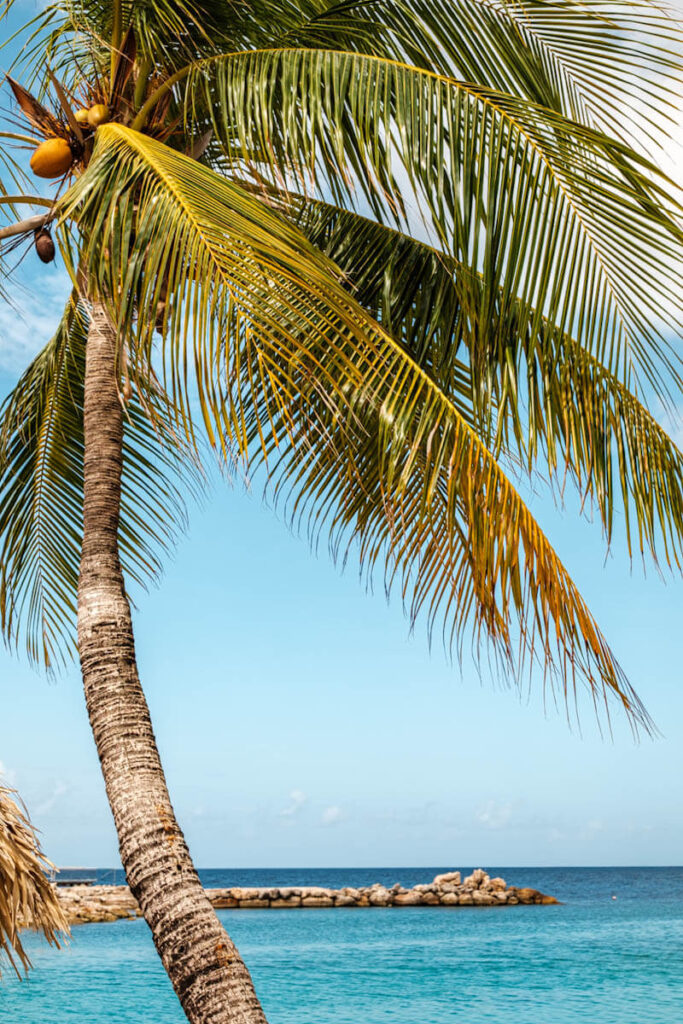 Beaches Curacao Mambo beach travelinmypocket