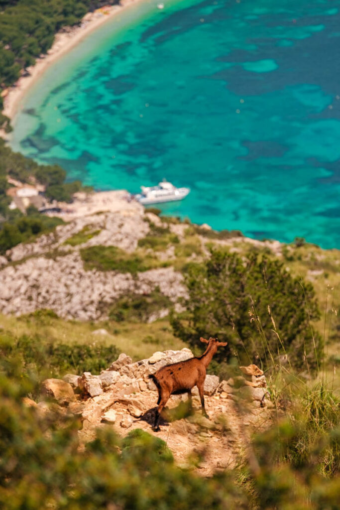 Road trip Mallorca route Formentor travelinmypocket
