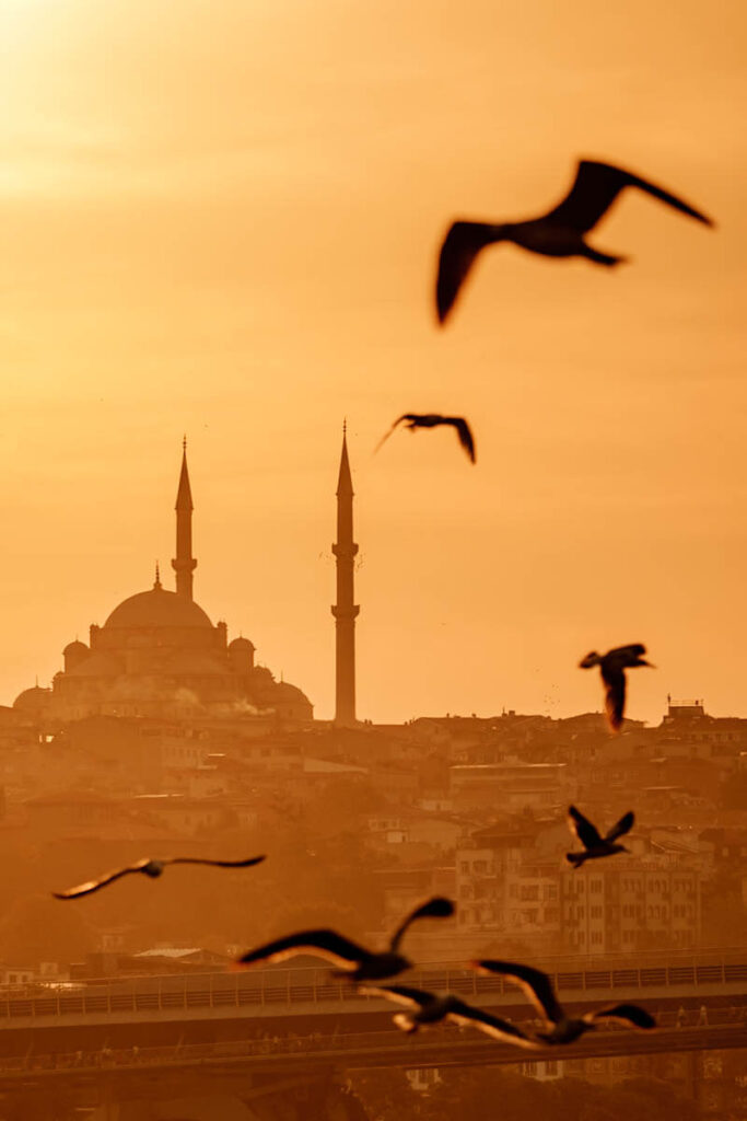 Which neighborhoods in Istanbul are nice travelinmypocket