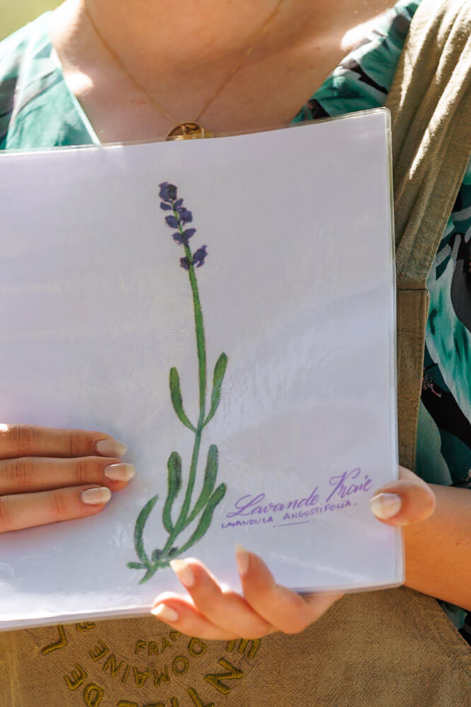 Drome workshop lavender Domaine L Essentiel de Lavande France travelinmypocket