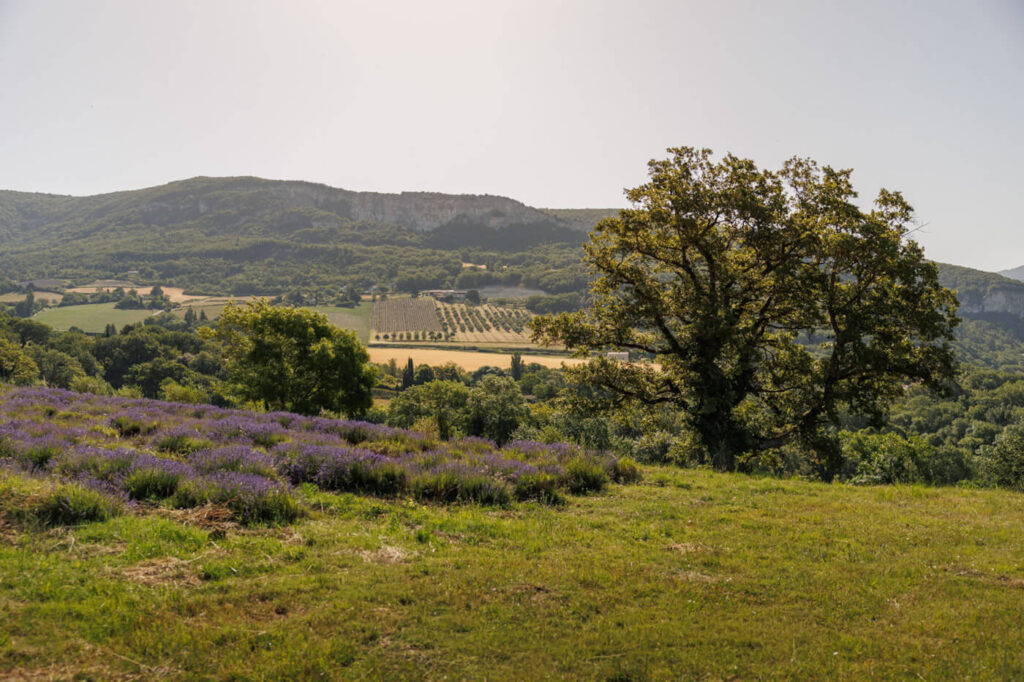 Road trip Drome and Provence France travelinmypocket