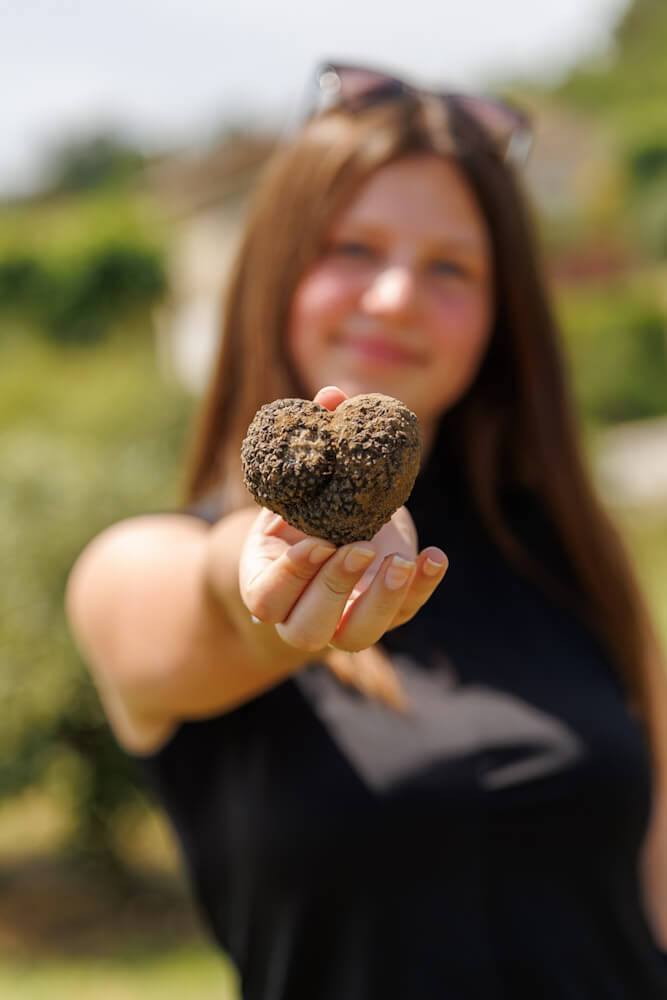 Truffle hunting and tasting in Drome France travelinmypocket