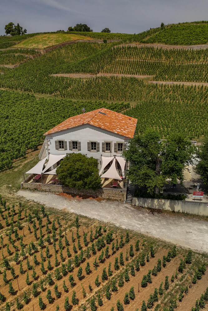 Wine tasting Drome Le Fief de Gambert France travelinmypocket