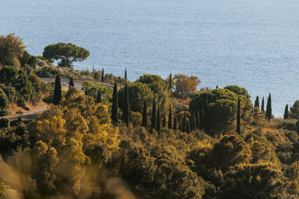 Beautiful roads on Elba Italy travelinmypocket