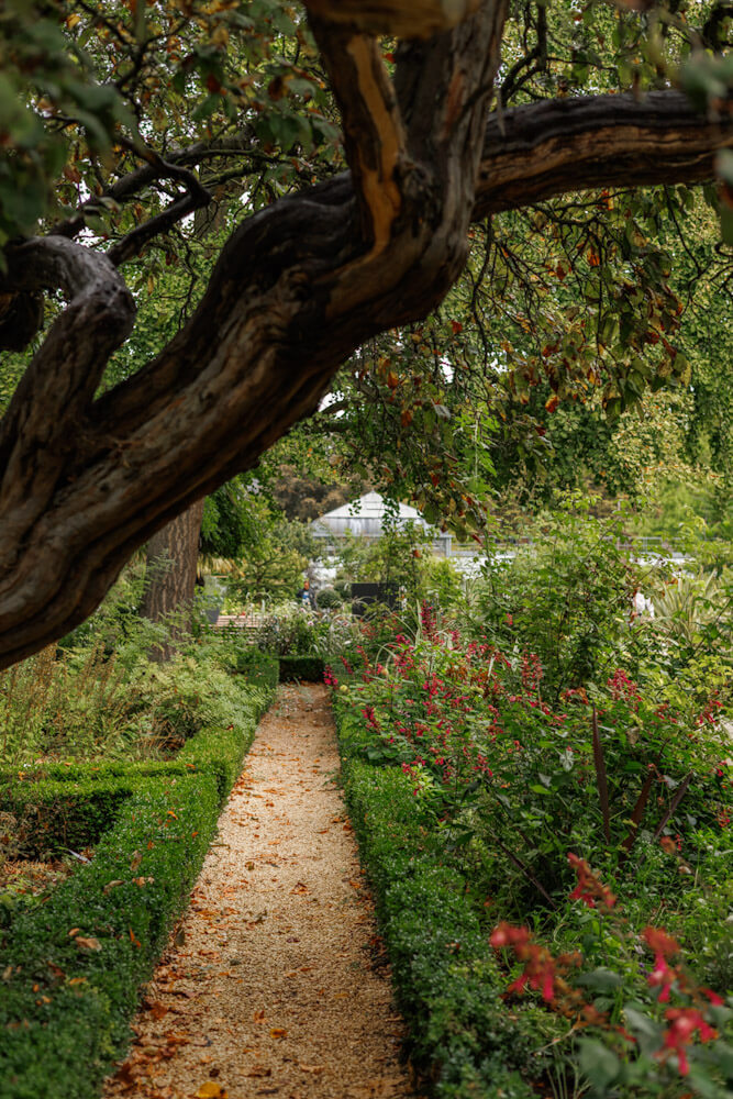 Jardin des Plantes in Amiens travelinmypocket